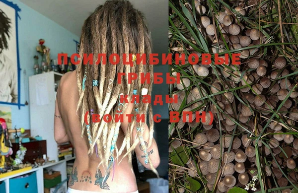 дживик Абинск