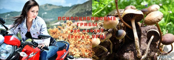 дживик Абинск