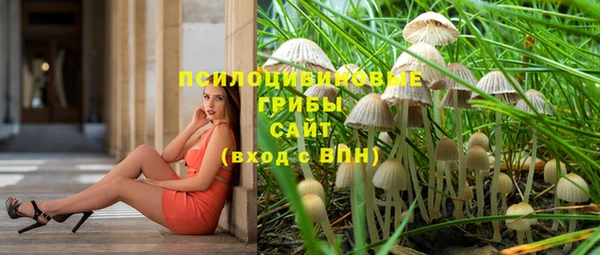 2c-b Алексеевка